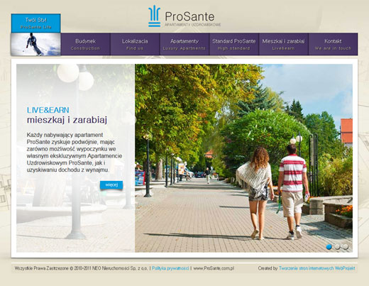 Wykonanie strony internetowej ProSante.com.pl